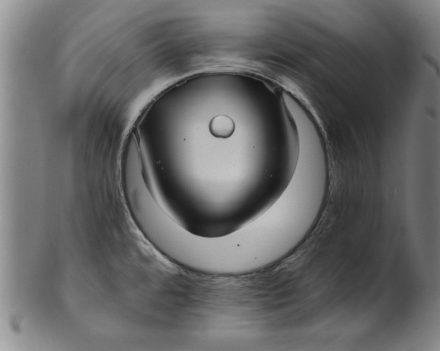 X0000101951480200808081454