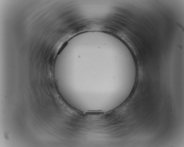 X0000101951481200808081454