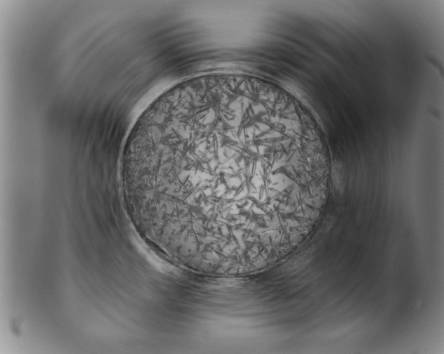 X0000101951482200808081454