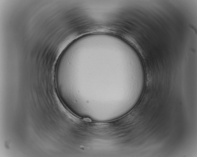 X0000101951483200808081454