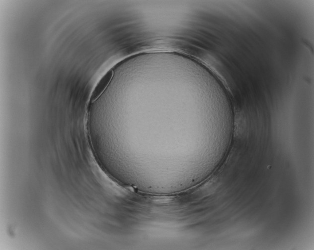 X0000101951484200808081454