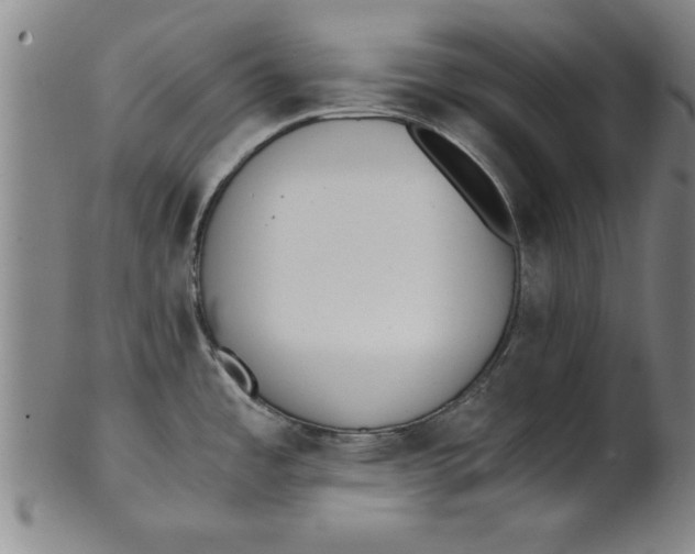 X0000101951485200808081454