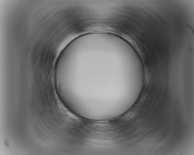 X0000101951486200808081454