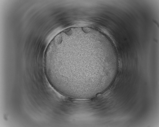 X0000101951487200808081454