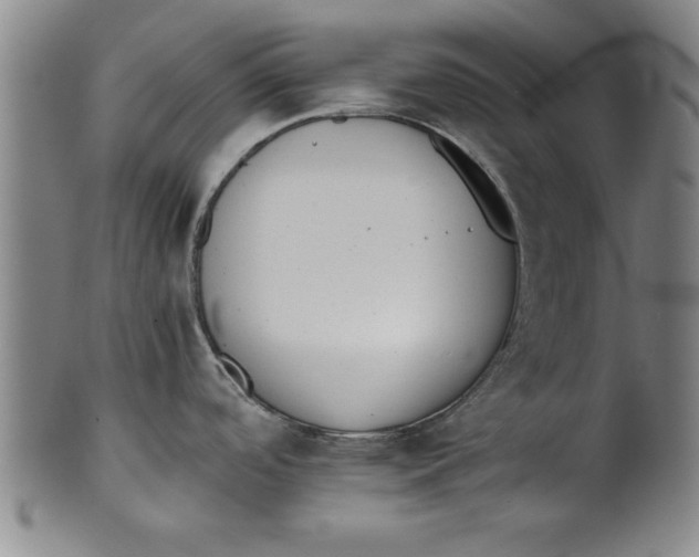 X0000101951488200808081454