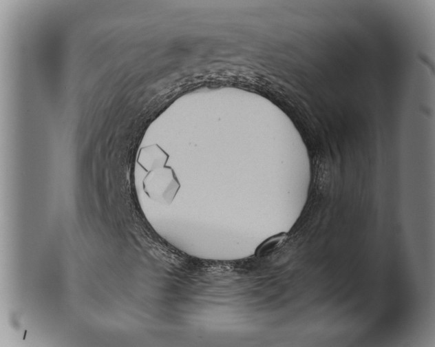 X0000101951489200808081453