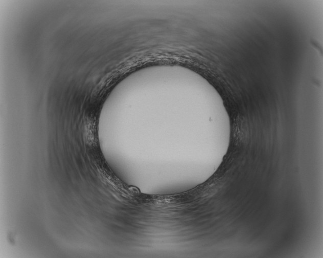 X0000101951490200808081454