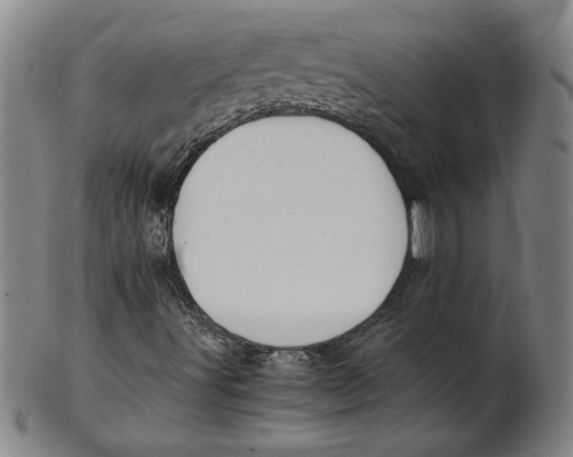 X0000101951491200808081454