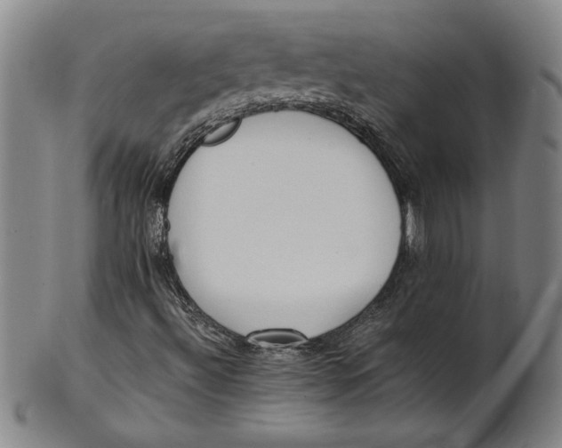 X0000101951492200808081454