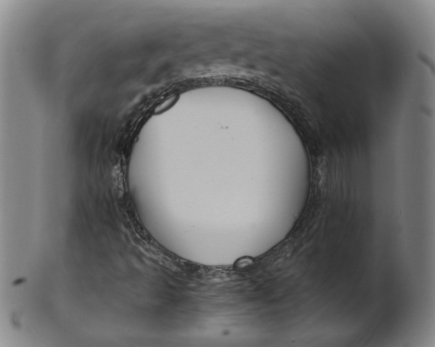 X0000101951493200808081454