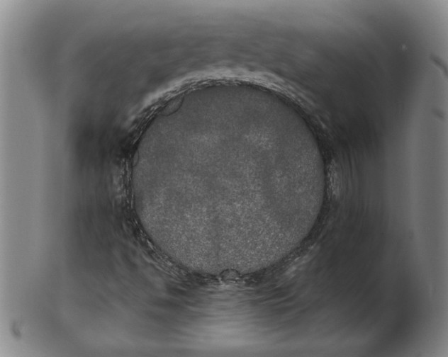 X0000101951494200808081454