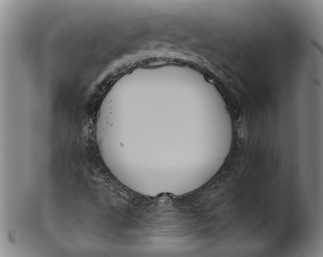 X0000101951495200808081454