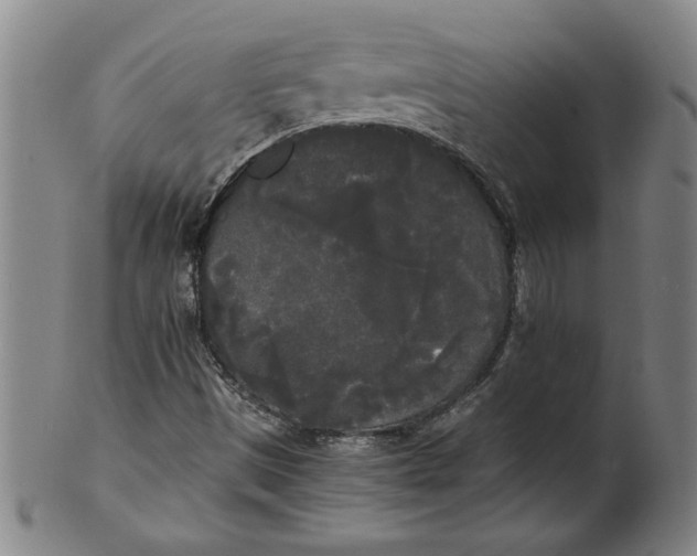 X0000101951497200808081454