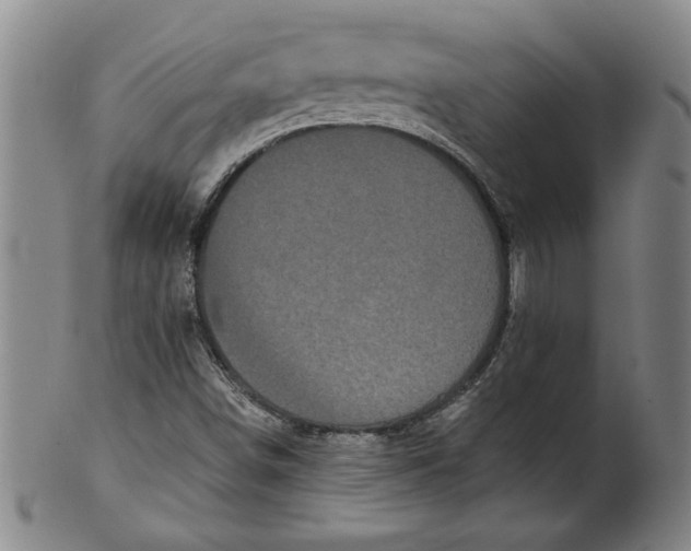 X0000101951498200808081454