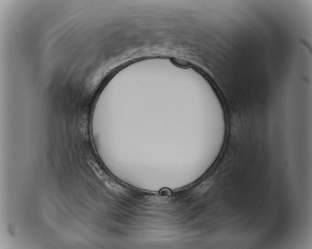 X0000101951499200808081454