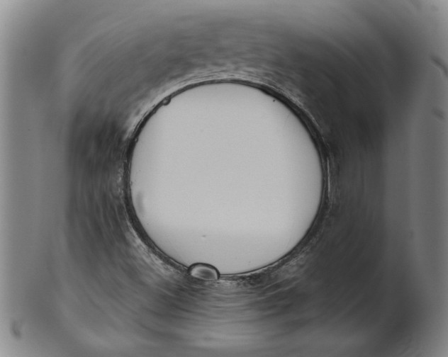 X0000101951500200808081454