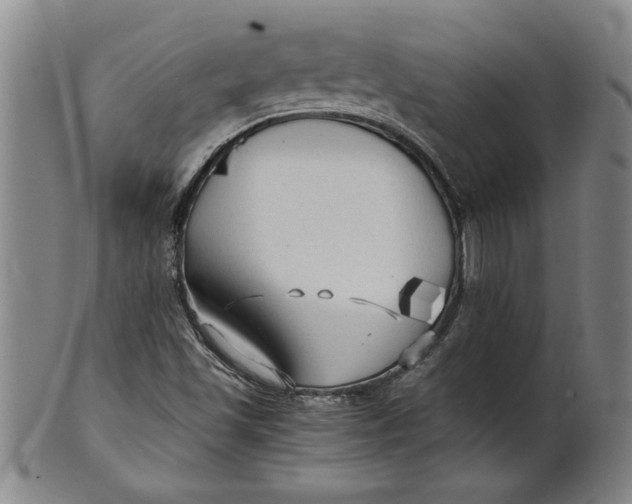 X0000101951501200808081454