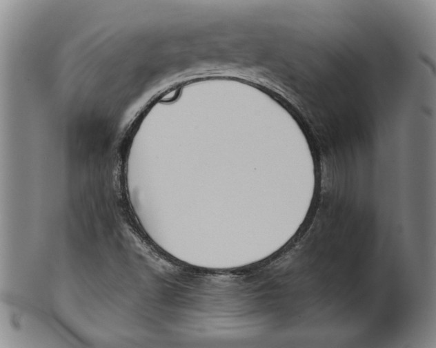 X0000101951502200808081454