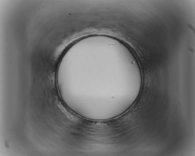 X0000101951503200808081454