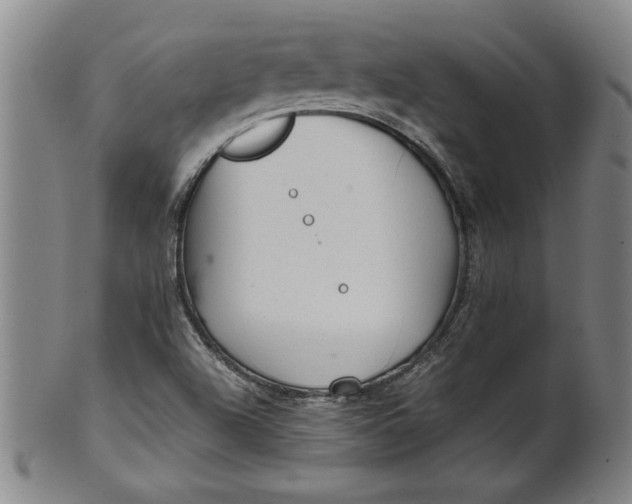 X0000101951504200808081454