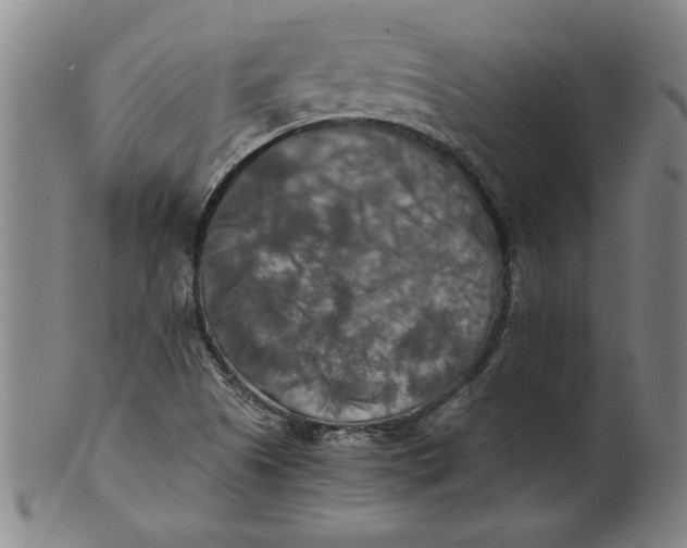 X0000101951505200808081454