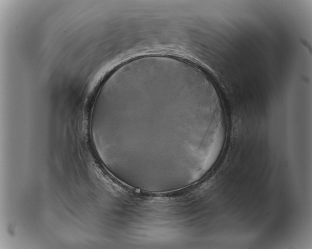 X0000101951506200808081454