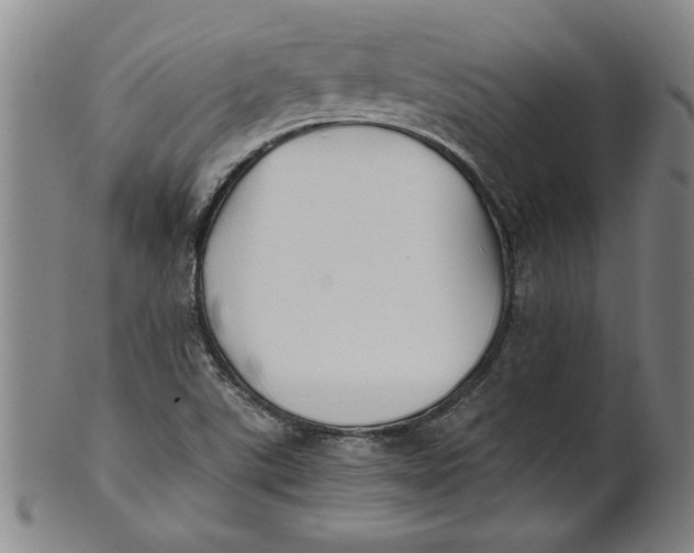 X0000101951507200808081454