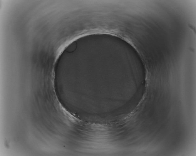 X0000101951508200808081454