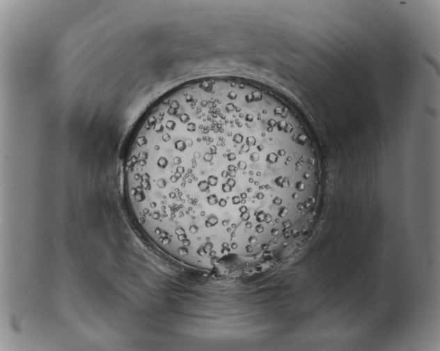 X0000101951509200808081454