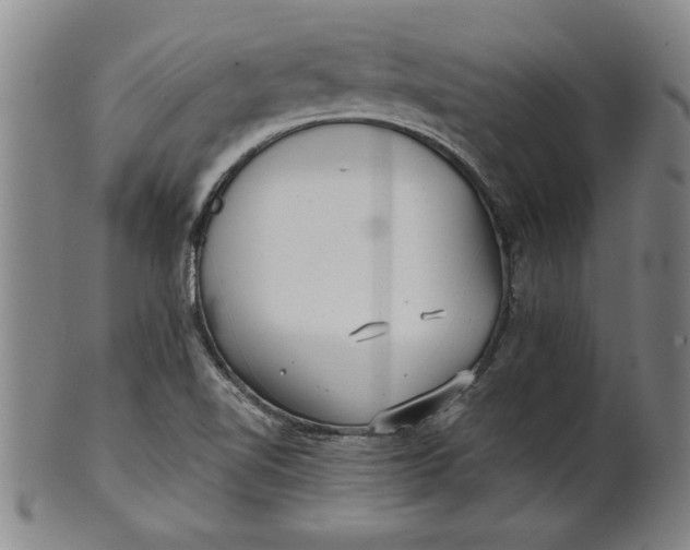 X0000101951510200808081454