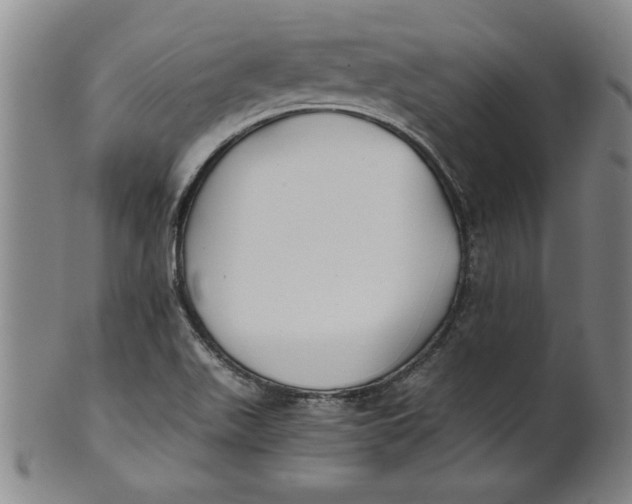 X0000101951511200808081454