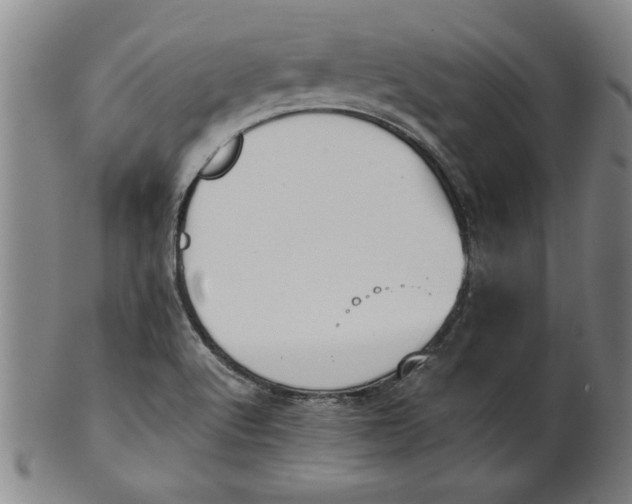 X0000101951512200808081454