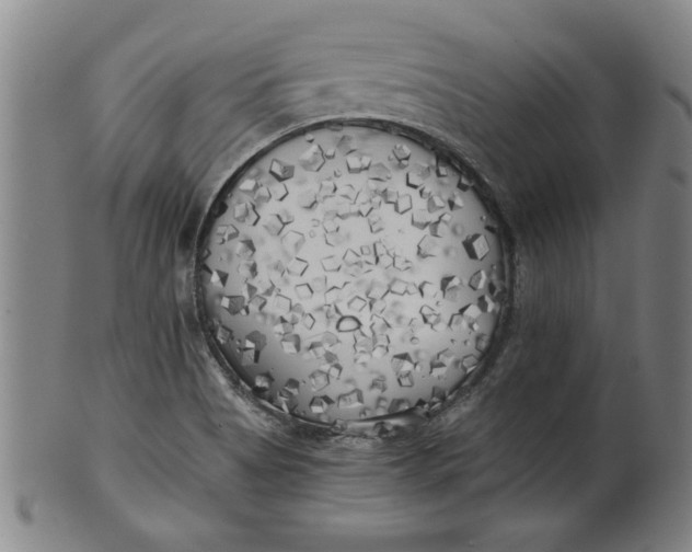 X0000101951513200808081454