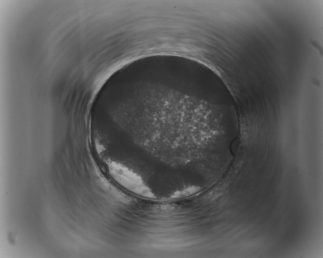 X0000101951515200808081454