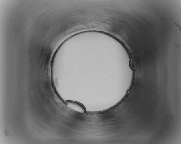 X0000101951516200808081454