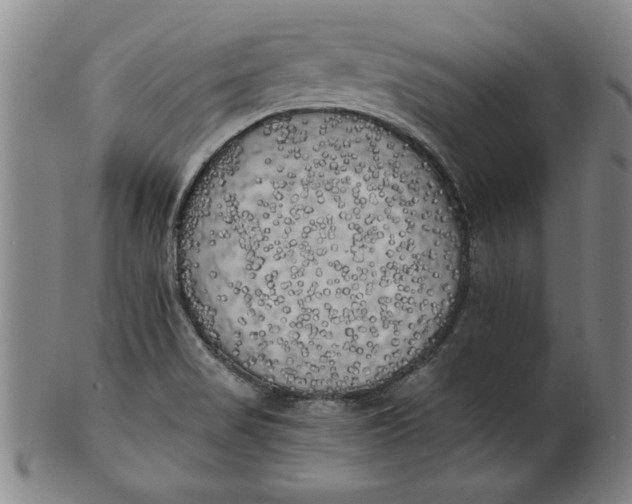 X0000101951517200808081454