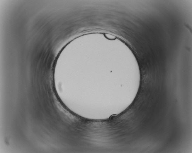 X0000101951518200808081454