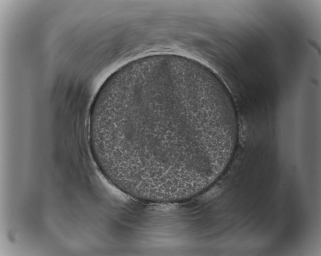 X0000101951519200808081454