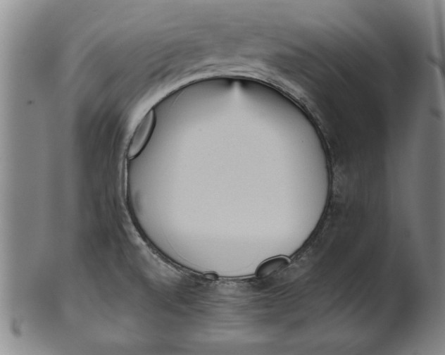 X0000101951520200808081454