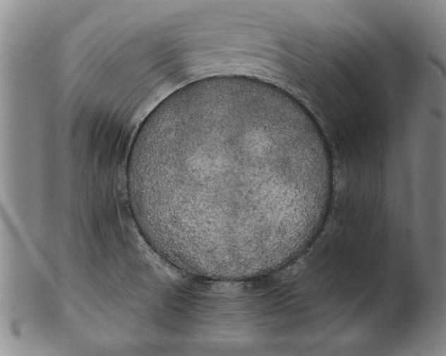 X0000101951521200808081454