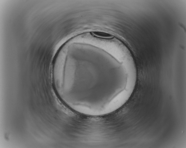 X0000101951522200808081454