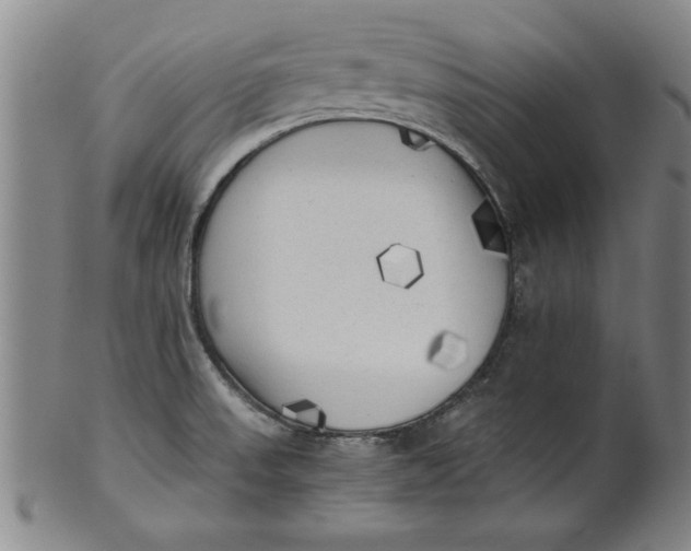 X0000101951523200808081454