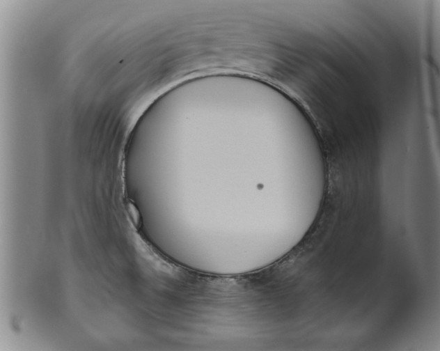 X0000101951524200808081454