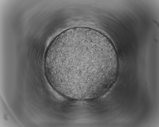 X0000101951525200808081454