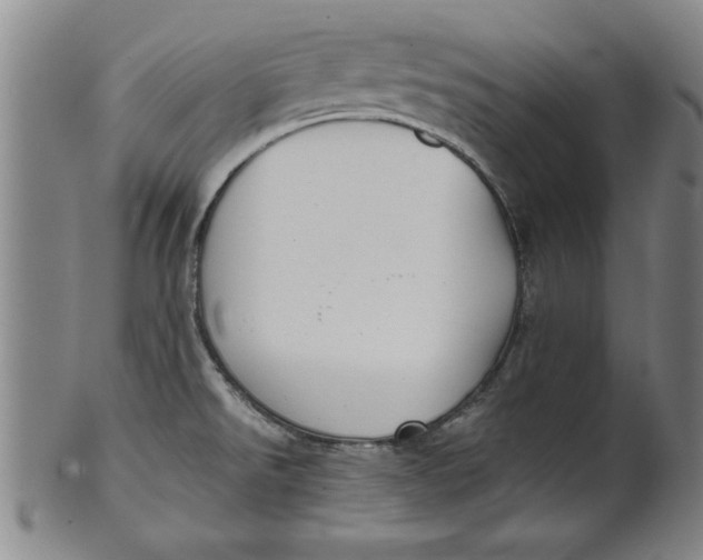 X0000101951526200808081454