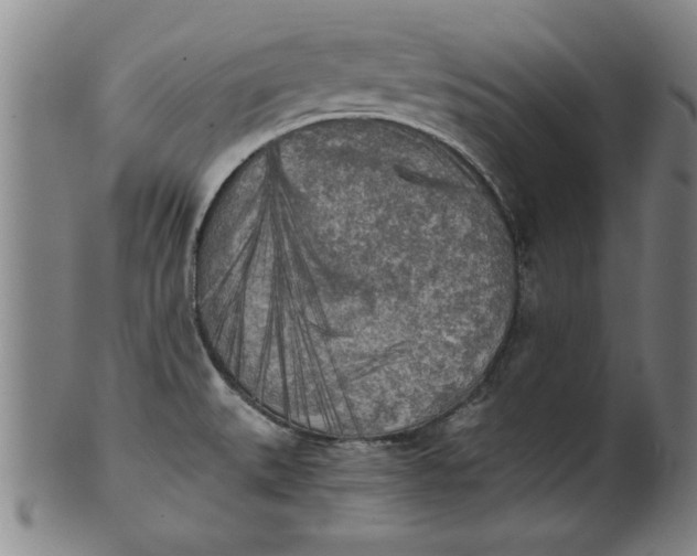 X0000101951527200808081454