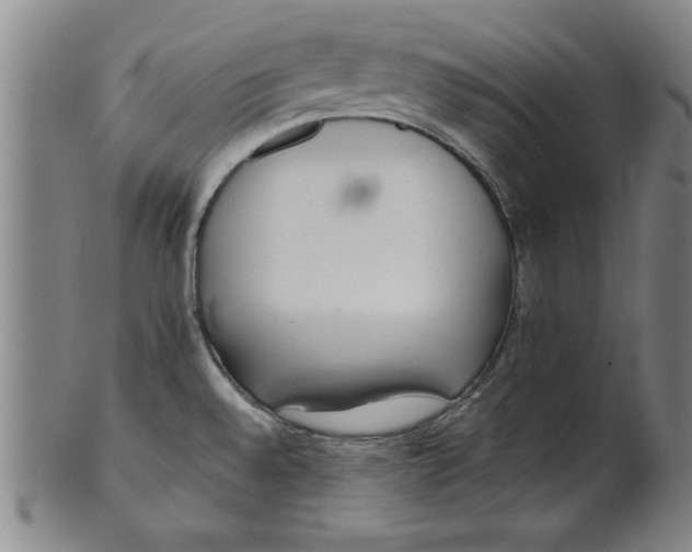 X0000101951528200808081454