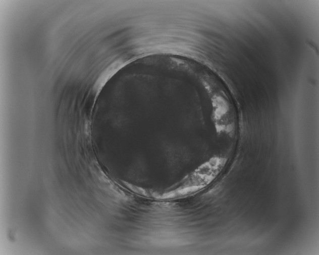 X0000101951529200808081454