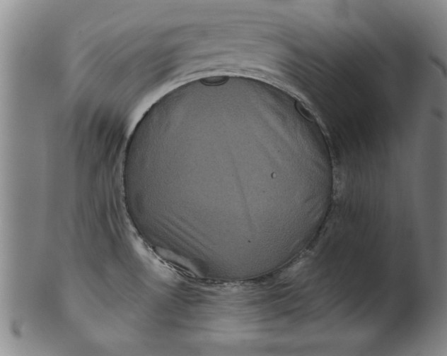 X0000101951530200808081454