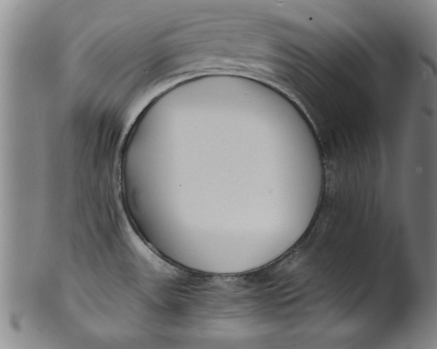 X0000101951531200808081454